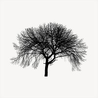 Silhouette tree clipart, nature illustration vector. Free public domain CC0 image.