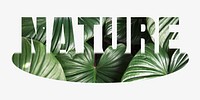 Nature word, leaf design typography