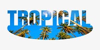 Tropical word, palm tree design typography