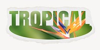 Tropical word, torn paper, bird of paradise design