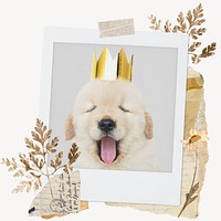 Cute dog instant film frame, aesthetic leaf design