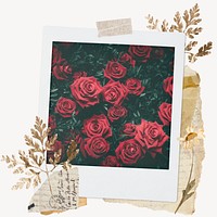 Red roses instant film frame, aesthetic leaf design