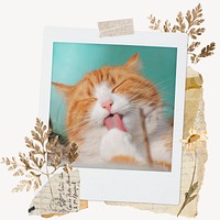 Cute cat instant film frame, aesthetic leaf design