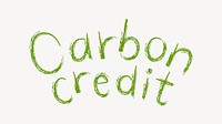 Carbon credit word, brush stroke typography