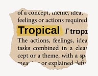 Tropical ripped dictionary, editable word collage element psd