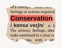 Conservation ripped dictionary, editable word collage element psd