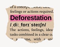 Deforestation dictionary word, vintage ripped paper design