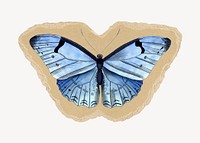 Blue butterfly collage element, animal torn paper design psd