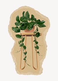 Houseplant on brown torn paper
