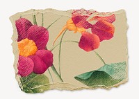 Monk's cress flower sticker, ripped paper collage element psd