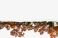 Autumn tree border background on torn paper