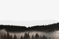 Foggy forest border background on torn paper