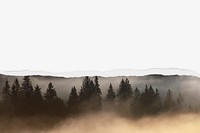 Foggy forest border background on torn paper