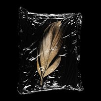 Gold sparkly feather in plastic bag,  creative concept art