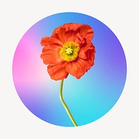 Red flower on gradient shape, round badge clipart