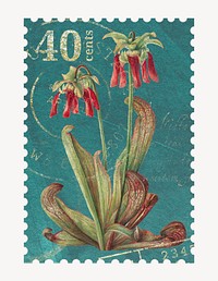 Aesthetic floral postage stamp, parrot pitcher plant collage element psd