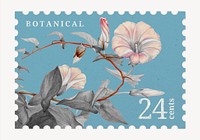 Aesthetic hedge bindweed flower postage stamp illustration