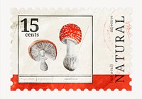 Aesthetic poison mushroom postage stamp, ephemera collage element psd, remixed by rawpixel