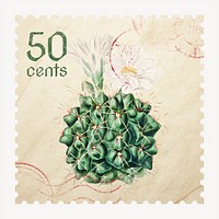 Aesthetic cactus postage stamp, botanical, collage element psd, remixed by rawpixel