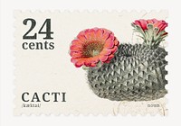 Aesthetic cactus postage stamp, botanical, collage element psd, remixed by rawpixel