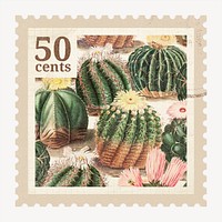 Aesthetic cactus postage stamp, ephemera illustration