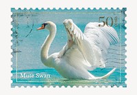 Swan postage stamp, animal collage element psd