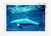 Dolphin postage stamp, aesthetic animal graphic