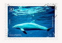 Dolphin postage stamp, animal collage element psd