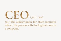 CEO definition, gold dictionary word