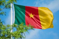 Cameroon flag, blue sky design
