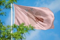 Pink heart flag, blue sky design