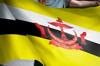 Person holding Brunei flag background, national symbol