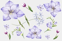 Watercolor blooming flowers vector clipart set