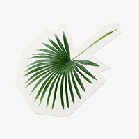 Tropical palm leaf clipart sticker, paper craft collage element