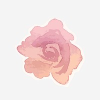 Pink rose vector flower drawing element graphic