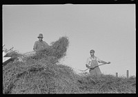 [Untitled photo, possibly related to: Mechanicsburg (vicinity), Ohio. Harvest hand and helper on the Virgil Thaxton farm]. Sourced from the Library of Congress.