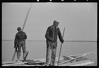 [Untitled photo, possibly related to: Oyster tongers, Rock Point, Maryland]. Sourced from the Library of Congress.