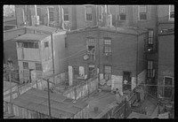 Washington, D.C. A view of backyards of apartment houses where both white and  families are living. Sourced from the Library of Congress.