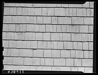 Texture background for motion picture and filmstrip. Shingles on the side of a house. Sourced from the Library of Congress.