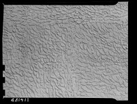 Texture background for motion picture and filmstrip. Stucco wall. Sourced from the Library of Congress.