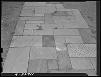 Texture background for motion picture and filmstrip. Flagstone walk. Sourced from the Library of Congress.