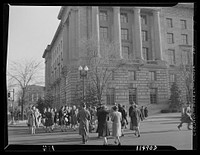 Washington, D.C. Government workers crossing Constitution Avenue at 14th Street. Sourced from the Library of Congress.