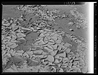 Texture background for motion picture and filmstrip titles. Patterns formed by cracks caused by shrinking of a thin film of mud as it dried. Sourced from the Library of Congress.