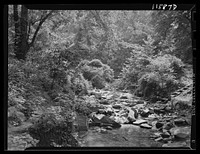 Washington, D.C. (vicinity). A rocky creek that flows into the Potomac River near the Chain Bridge on the Virginia side. Sourced from the Library of Congress.