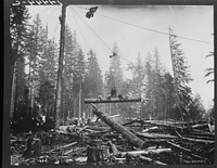 A close-up of yarding and loading. Washington. Sourced from the Library of Congress.