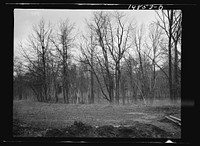 Hightstown, New Jersey. Progress photograph taken during construction of the Jersey homesteads, a U.S. Resettlement Administration project. Sourced from the Library of Congress.