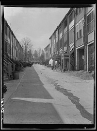 Alley in Northeast Washington, D.C.. Sourced from the Library of Congress.