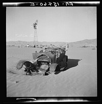 Wind erosion is covering remains of unsuccessful farm in Idaho. Sourced from the Library of Congress.