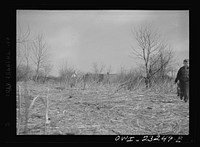 Washington, D.C. Site of a victory garden on Fairlawn Avenue, Southeast, before the ground was cleared. Sourced from the Library of Congress.