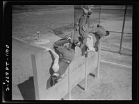[Untitled photo, possibly related to: Flushing High School, Queens, New York, New York. Scaling an eight foot obstacle at top speed, part of the "commando" training course offered by the physical education department, which puts the boys who finish the course in top physical condition, if needed by the armed forces]. Sourced from the Library of Congress.
